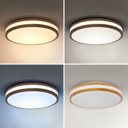 Brilagi - LED loftlampe dæmpbar MOLINA LED/48W/230V 3000-6500K eg diameter 38 cm + fjernbetjening