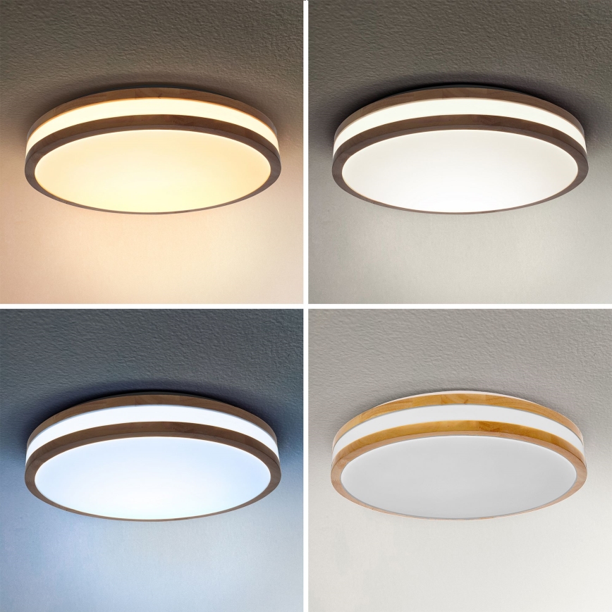 Brilagi - LED loftlampe dæmpbar MOLINA LED/48W/230V 3000-6500K eg diameter 38 cm + fjernbetjening