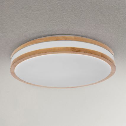 Brilagi - LED loftlampe dæmpbar MOLINA LED/48W/230V 3000-6500K eg diameter 38 cm + fjernbetjening