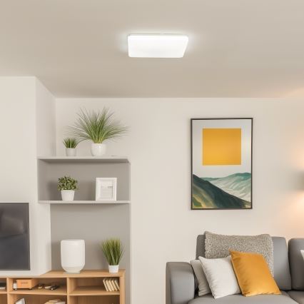Brilagi - LED loftlampe dæmpbar OPAL LED/24W/230V 3000/4000/6500K + fjernbetjening
