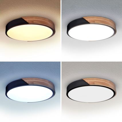 Brilagi - LED loftlampe dæmpbar PILANA LED/48W/230V 3000-6500K eg diameter 40 cm + fjernbetjening