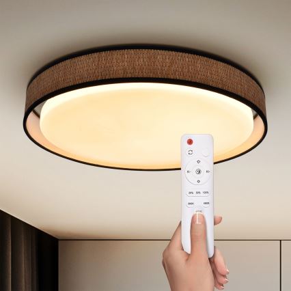 Brilagi - LED loftlampe dæmpbar PILAR LED/48W/230V 3000-6500K diameter 43 cm + fjernbetjening