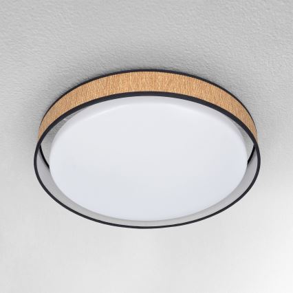 Brilagi - LED loftlampe dæmpbar PILAR LED/48W/230V 3000-6500K diameter 43 cm + fjernbetjening