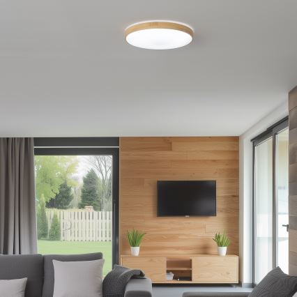 Brilagi - LED loftlampe dæmpbar PINE LED/24W/230V 3000-6500K + fjernbetjening