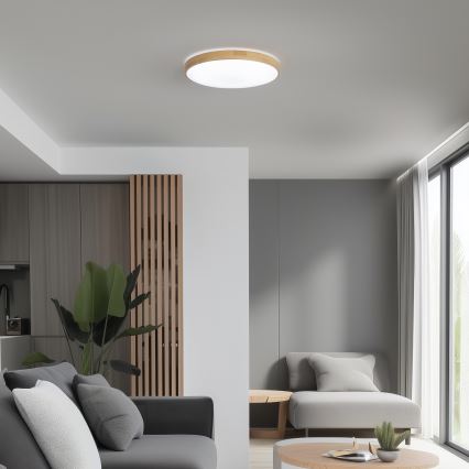 Brilagi - LED loftlampe dæmpbar PINE LED/24W/230V 3000-6500K + fjernbetjening