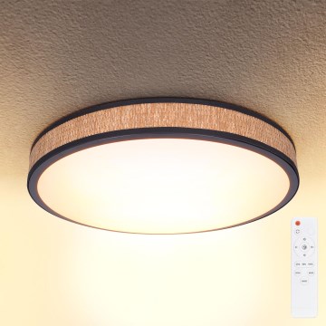 Brilagi - LED loftlampe dæmpbar ROSA LED/48W/230V 3000-6500K diameter 38 cm + fjernbetjening