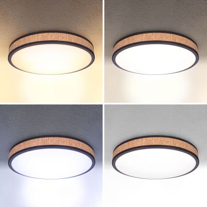 Brilagi - LED loftlampe dæmpbar ROSA LED/48W/230V 3000-6500K diameter 38 cm + fjernbetjening