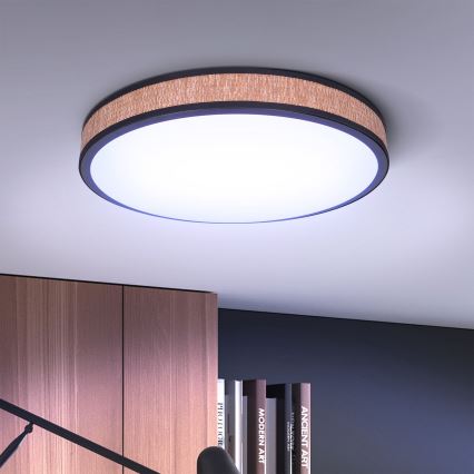 Brilagi - LED loftlampe dæmpbar ROSA LED/48W/230V 3000-6500K diameter 38 cm + fjernbetjening
