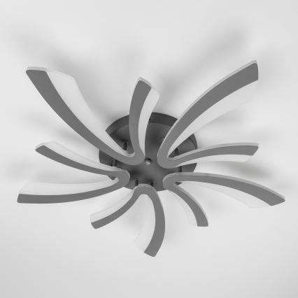 Brilagi - LED loftlampe dæmpbar TWIST LED/55W/230V 3000-6500K antracit + fjernbetjening