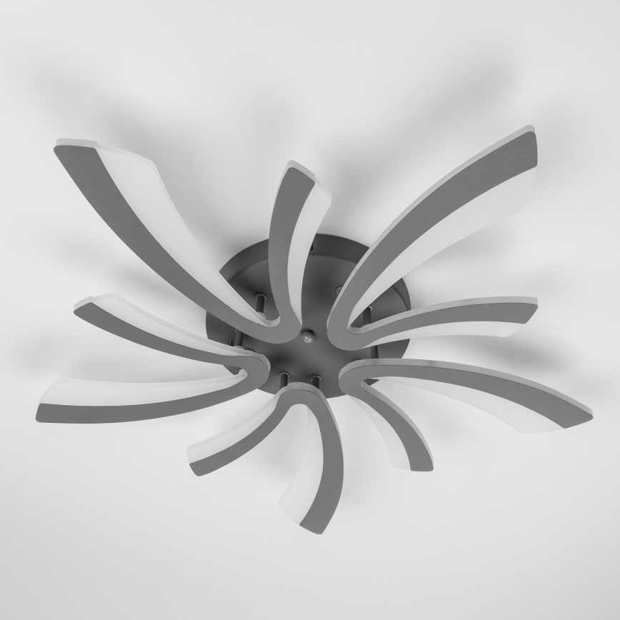 Brilagi - LED loftlampe dæmpbar TWIST LED/55W/230V 3000-6500K antracit + fjernbetjening