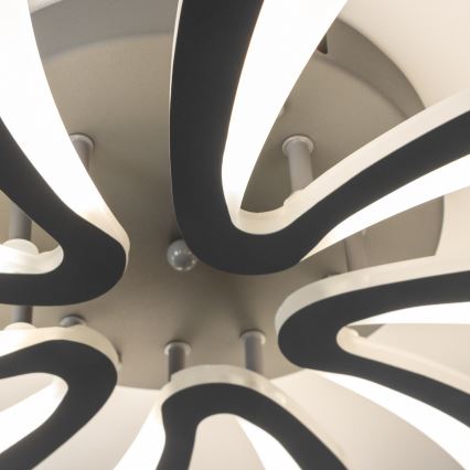 Brilagi - LED loftlampe dæmpbar TWIST LED/55W/230V 3000-6500K antracit + fjernbetjening