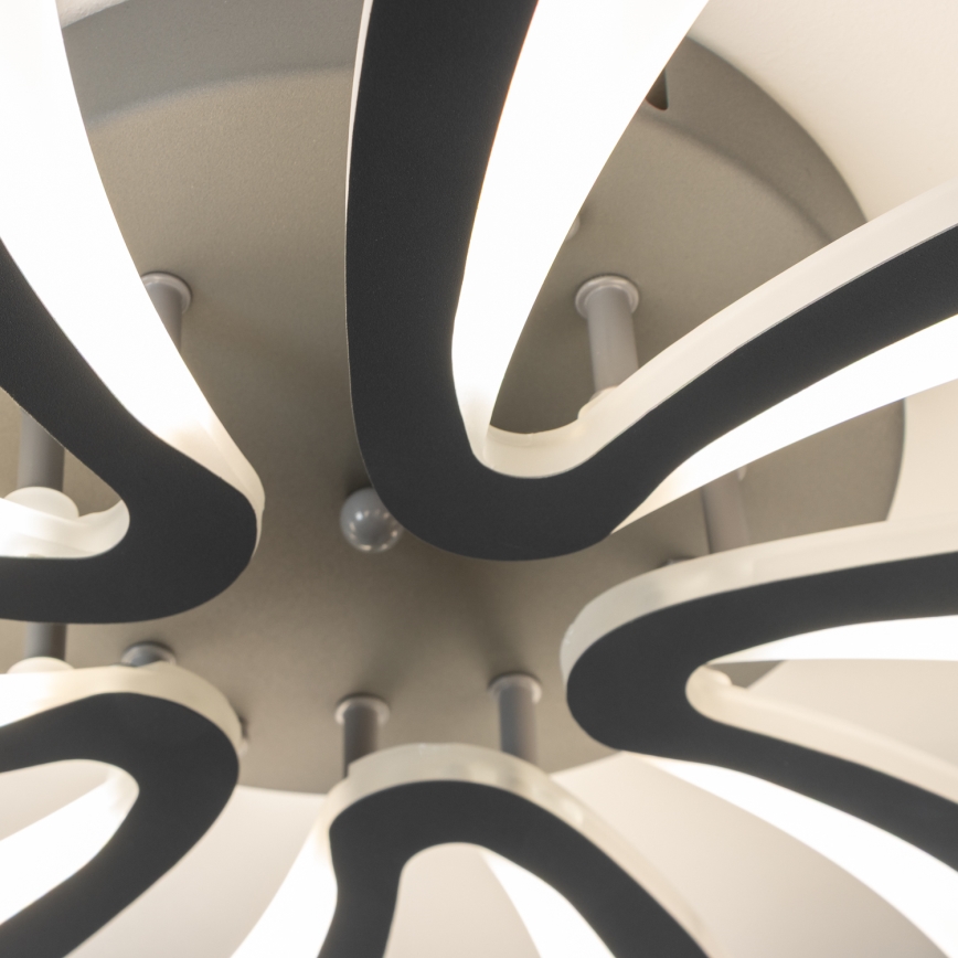Brilagi - LED loftlampe dæmpbar TWIST LED/55W/230V 3000-6500K antracit + fjernbetjening