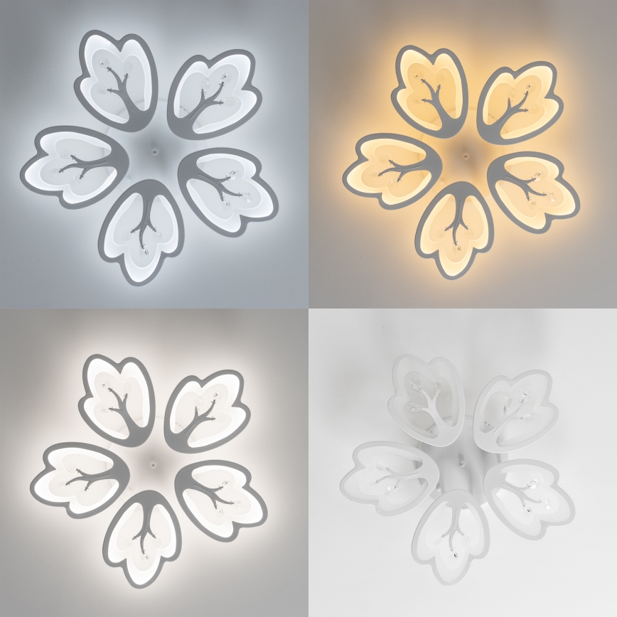 Brilagi - LED loftlampe dæmpbar TWIST LED/80W/230V 3000-6500K hvid + fjernbetjening