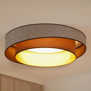 Brilagi - LED loftlampe dæmpbar VEGAS SHINE LED/24W/230V diameter 60 cm 3000/4000/6500K brun + fjernbetjening
