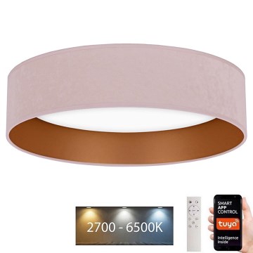 Brilagi - LED loftlampe dæmpbar VELVET SMART LED/24W/230V diam. 45 cm 2700-6500K Wi-Fi Tuya pink/guldfarvet + fjernbetjening