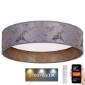 Brilagi - LED loftlampe dæmpbar VELVET SMART LED/36W/230V diam. 55 cm 2700-6500K Wi-Fi Tuya grå/guldfarvet + fjernbetjening