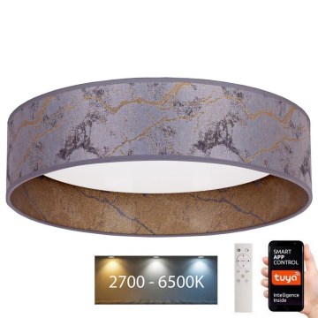 Brilagi - LED loftlampe dæmpbar VELVET SMART LED/36W/230V diam. 55 cm 2700-6500K Wi-Fi Tuya grå/guldfarvet + fjernbetjening
