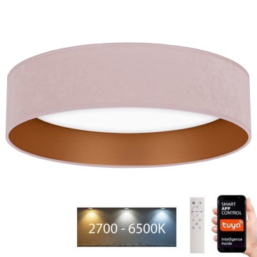 Brilagi - LED loftlampe dæmpbar VELVET SMART LED/36W/230V diam. 55 cm 2700-6500K Wi-Fi Tuya pink/guldfarvet + fjernbetjening