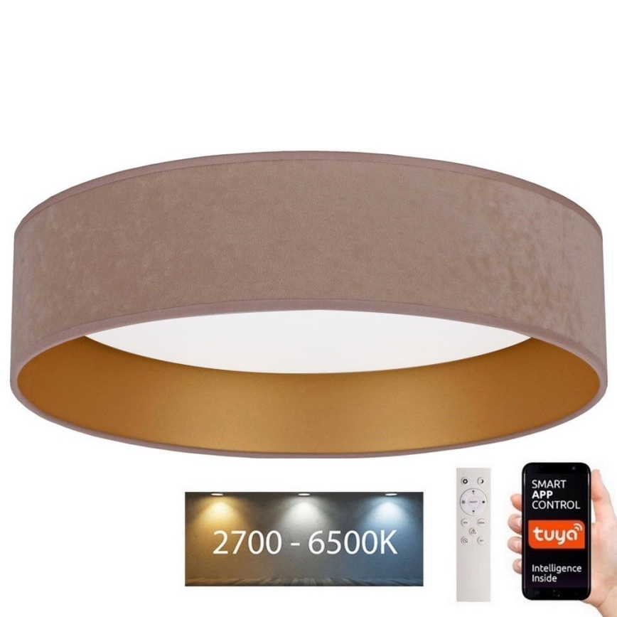 Brilagi - LED loftlampe dæmpbar VELVET SMART LED/36W/230V diameter 55 cm 2700-6500K Wi-Fi Tuya beige/guldfarvet + fjernbetjening