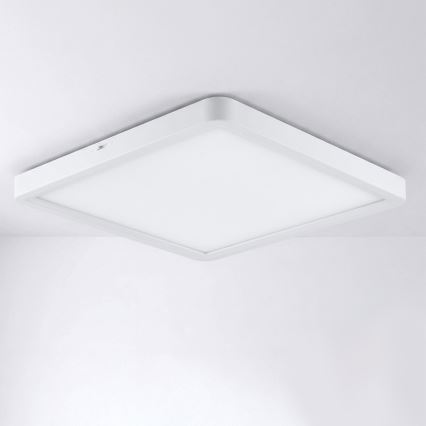 Brilagi - LED loftlampe ESTELA SQUARE LED/24W/230V 31x31 cm hvid