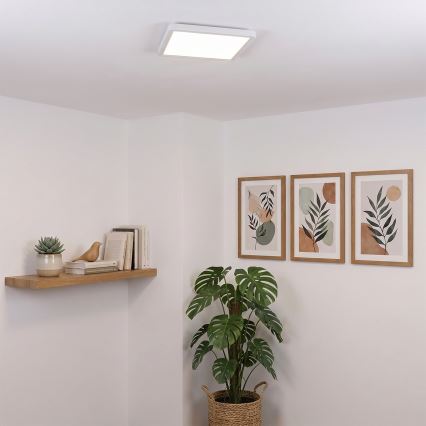 Brilagi - LED loftlampe ESTELA SQUARE LED/24W/230V 31x31 cm hvid
