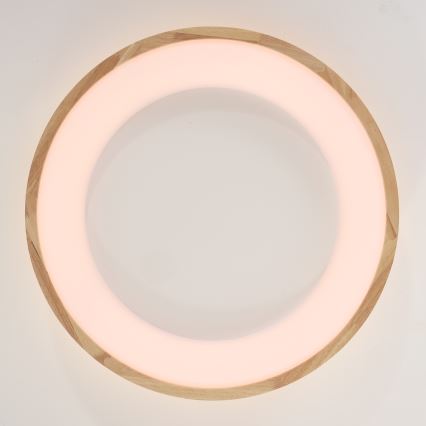 Brilagi - LED loftlampe FALCON WOOD LED/40W/230V 3000/4000/6000K Ø 60 cm træ