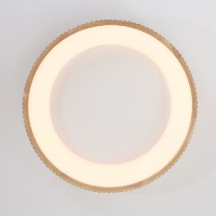 Brilagi - LED loftlampe FALCON WOOD MODERN LED/40W/230V 3000/4000/6000K Ø 60 cm træ