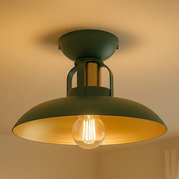 Brilagi - LED Loftlampe FLAMENGO 1xE27/60W/230V grøn