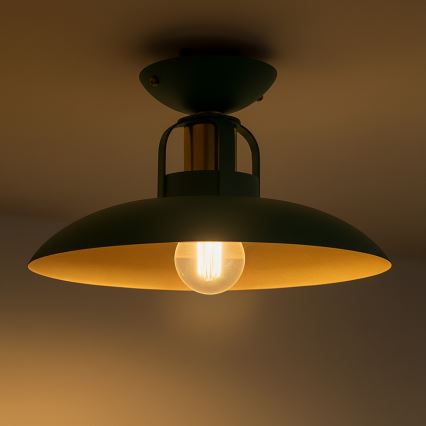 Brilagi - LED Loftlampe FLAMENGO 1xE27/60W/230V grøn