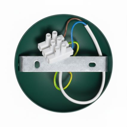 Brilagi - LED Loftlampe FLAMENGO 1xE27/60W/230V grøn