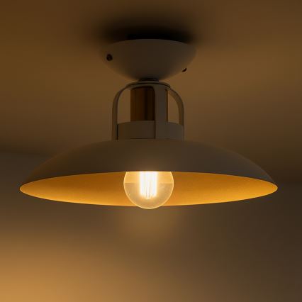 Brilagi - LED Loftlampe FLAMENGO 1xE27/60W/230V hvid