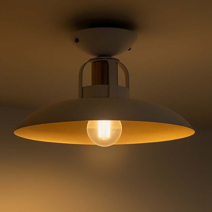 Brilagi - LED Loftlampe FLAMENGO 1xE27/60W/230V hvid