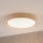 Brilagi - LED loftlampe MANAROLA PLAIN LED/24W/230V 3000K Ø 41 cm eg