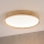 Brilagi - LED-loftlampe MANAROLA PLAIN LED/36W/230V 3000K Ø 48 cm eg
