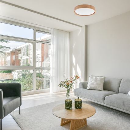 Brilagi - LED dæmpbart loftlys MANAROLA SMART LED/24W/230V 2700-6500K eg pr. 41 cm Wi-Fi + Tuya fjernbetjening