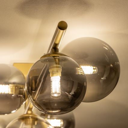 Brilagi - LED loftlampe MILLA 7xG9/3W/230V guldfarvet/røget