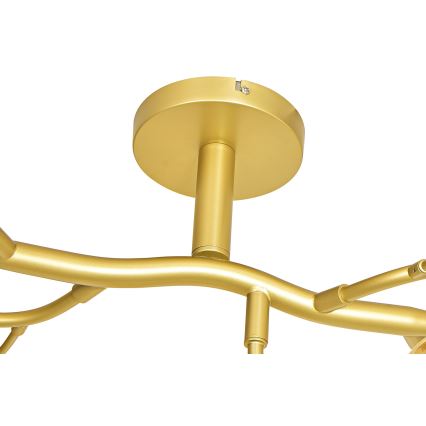 Brilagi - LED loftlampe MISTEL 15xG9/3W/230V guldfarvet/hvid