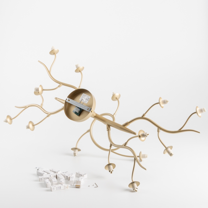 Brilagi - LED loftlampe MISTEL 15xG9/3W/230V guldfarvet/hvid