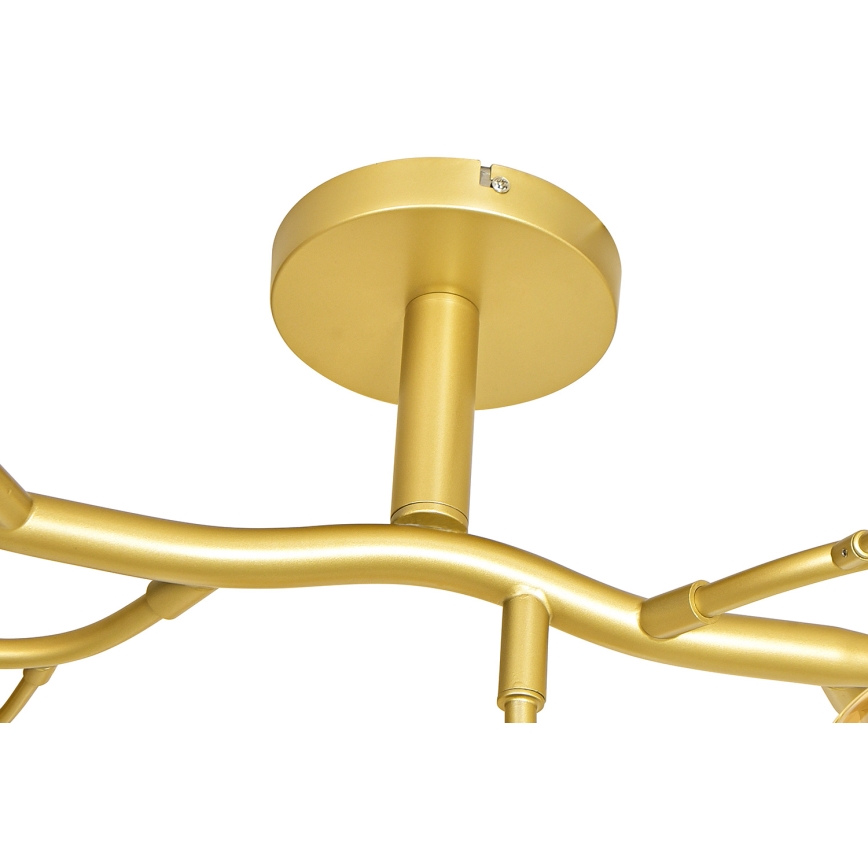 Brilagi - LED loftlampe MISTEL 15xG9/3W/230V guldfarvet