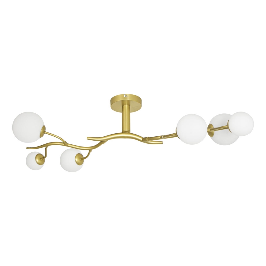 Brilagi - LED loftlampe MISTEL 6xG9/3W/230V guldfarvet/hvid
