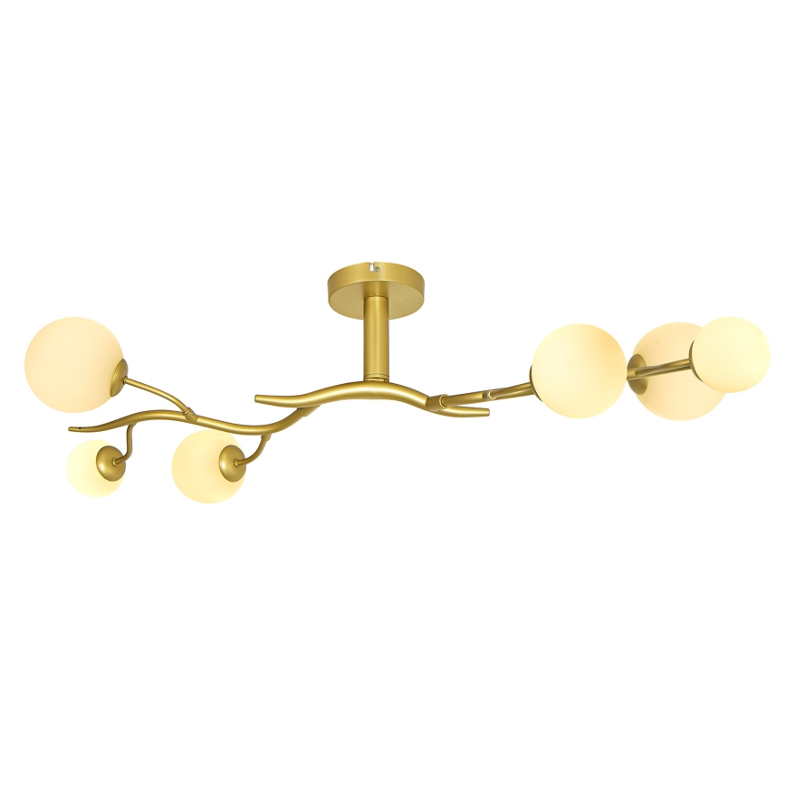 Brilagi - LED loftlampe MISTEL 6xG9/3W/230V guldfarvet/hvid