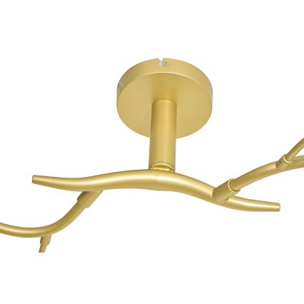 Brilagi - LED loftlampe MISTEL 6xG9/3W/230V guldfarvet/hvid