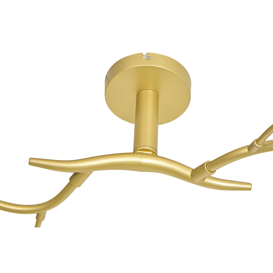 Brilagi - LED loftlampe MISTEL 6xG9/3W/230V guldfarvet/hvid