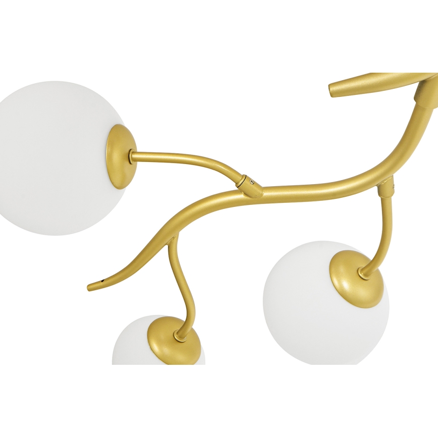 Brilagi - LED loftlampe MISTEL 6xG9/3W/230V guldfarvet/hvid