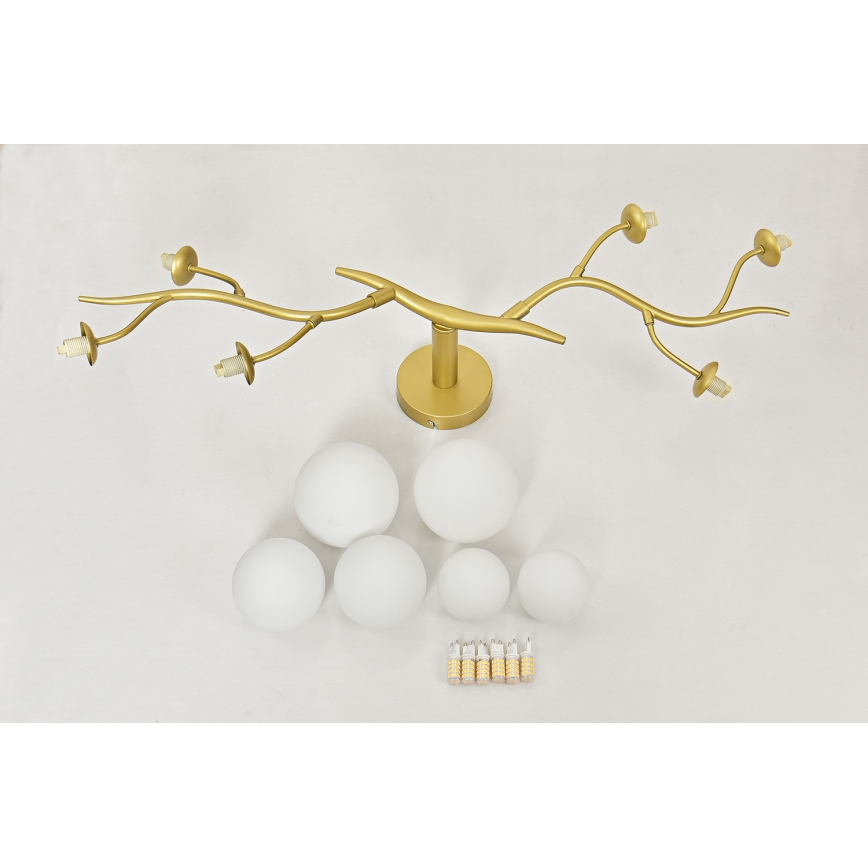 Brilagi - LED loftlampe MISTEL 6xG9/3W/230V guldfarvet/hvid