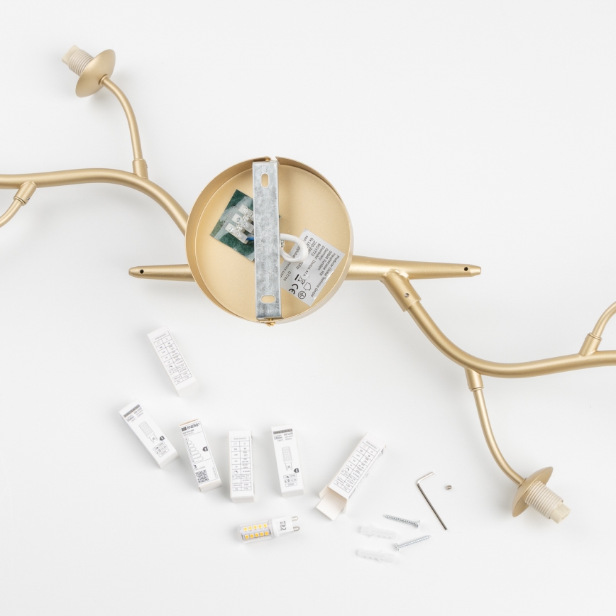 Brilagi - LED loftlampe MISTEL 6xG9/3W/230V guldfarvet