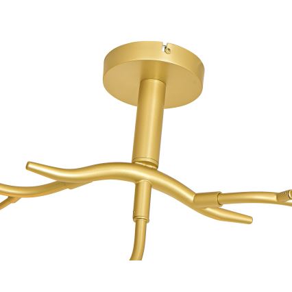 Brilagi - LED loftlampe MISTEL 9xG9/3W/230V guldfarvet