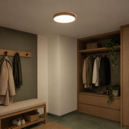 BRILAGI - LED-loftlampe NATURA, 24W, 230V, 4000K, Ø 38,3 cm