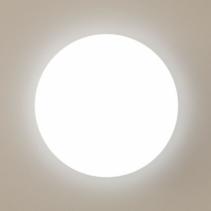 Brilagi - LED loftlampe OPAL LED/24W/230V