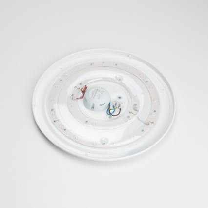 Brilagi - LED loftlampe OPAL LED/24W/230V